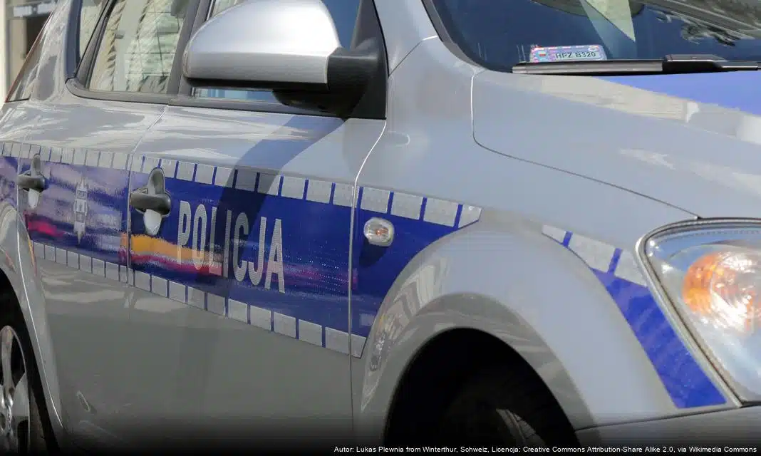 Skazanie nietrzeźwego kierowcy w trybie przyspieszonym