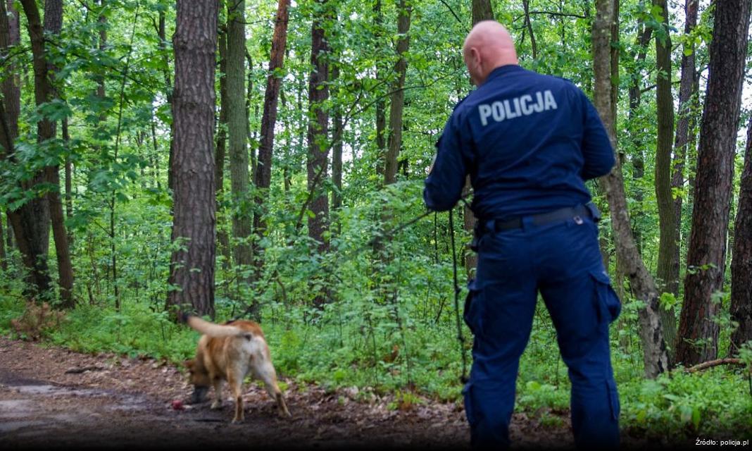 Europejski Dzień Walki z Handlem Ludźmi – Pokaz kulturalnej działalności Policji