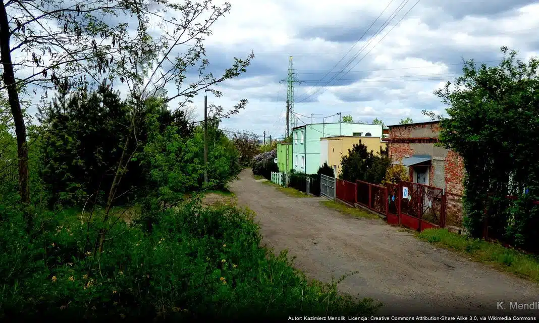 Noworoczna operetka „Zagadka tenora. Kochanka czy żona?” zagości w Biskupcu